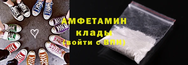 амф Горняк