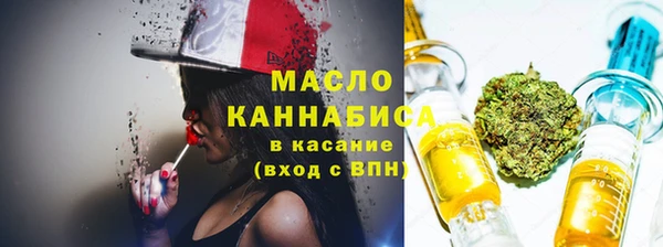 амф Горняк