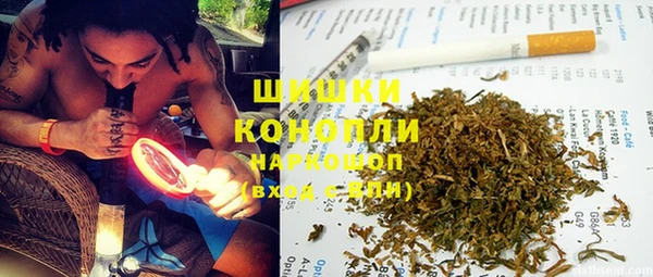 амф Горняк