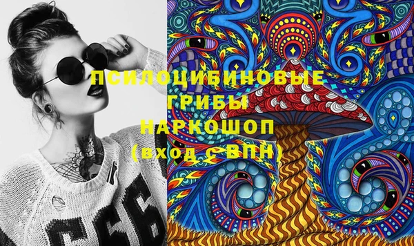 амф Горняк
