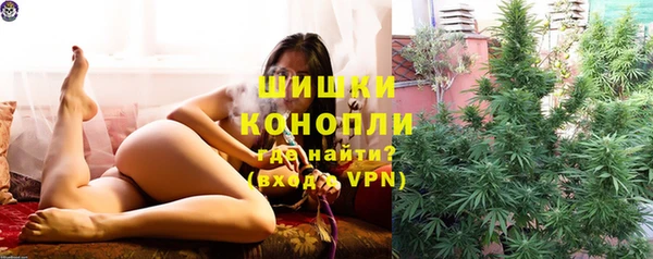 PSILOCYBIN Горнозаводск