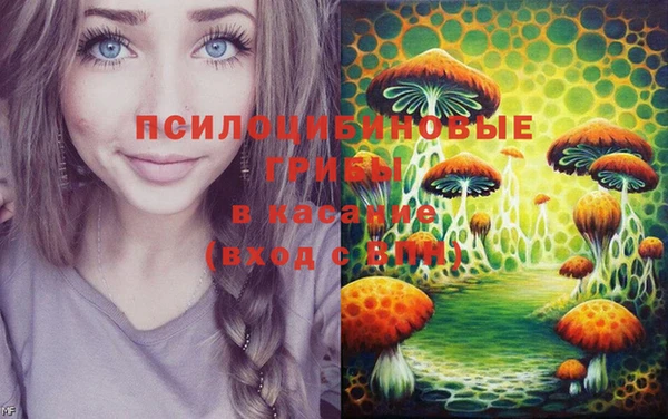 PSILOCYBIN Горнозаводск